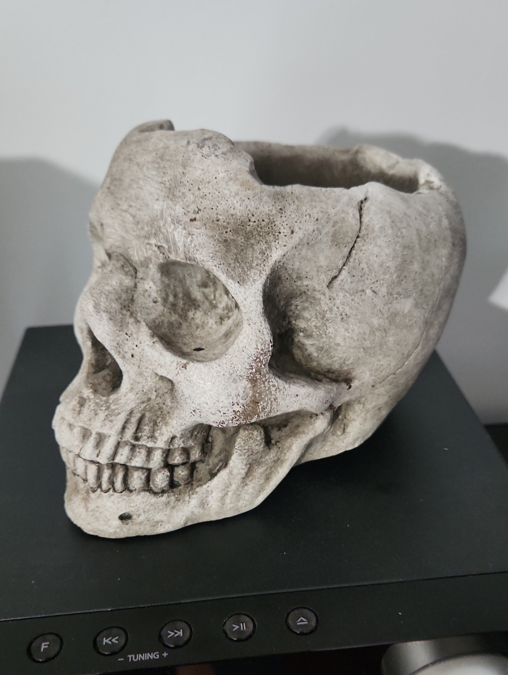 Skull Planter .Concrete